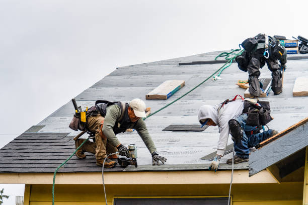 Professional Roofing technician working in Winfield, IL